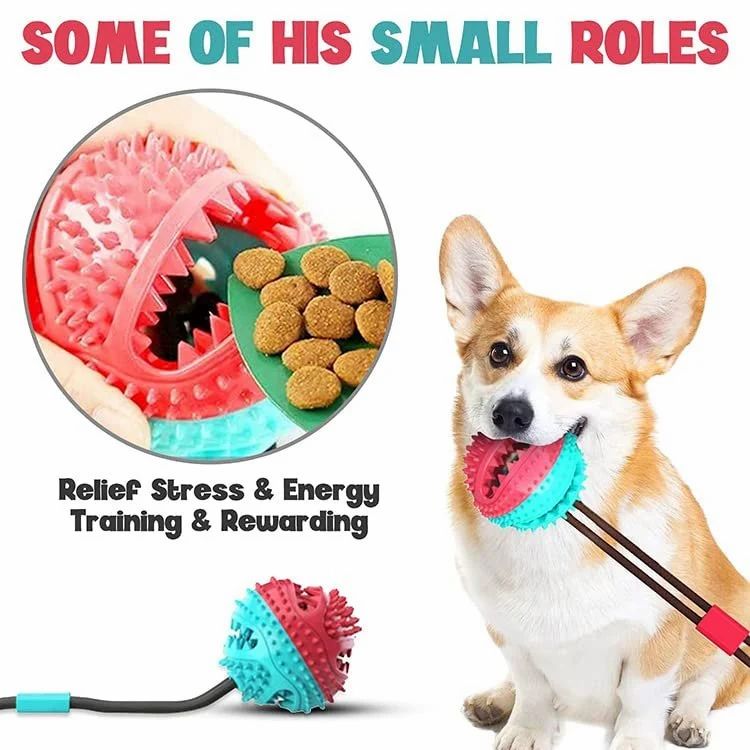 Interactive Dog Toy