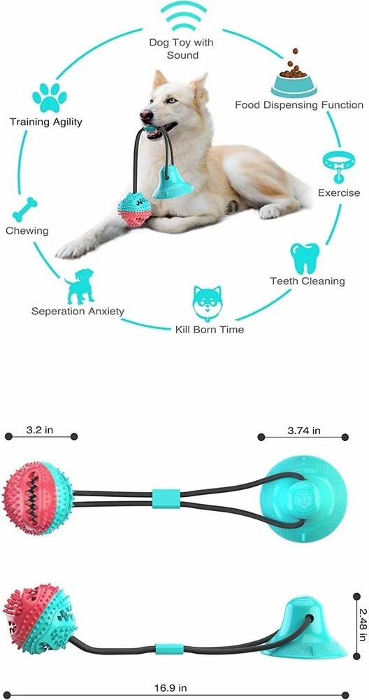 Interactive Dog Toy