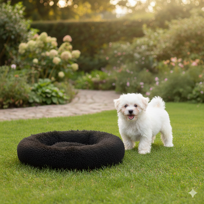 The Cloud-Nine Calming Pet Bed