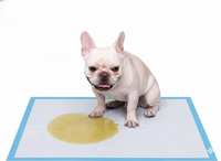 Ultra-Absorbent Puppy & Pet Training Pads (Blue)