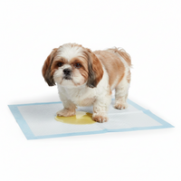 Ultra-Absorbent Puppy & Pet Training Pads (Blue)