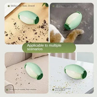 EverClean Fur & Dust Remover