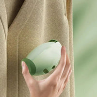 EverClean Fur & Dust Remover