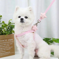 The Soft Touch Safety Lead