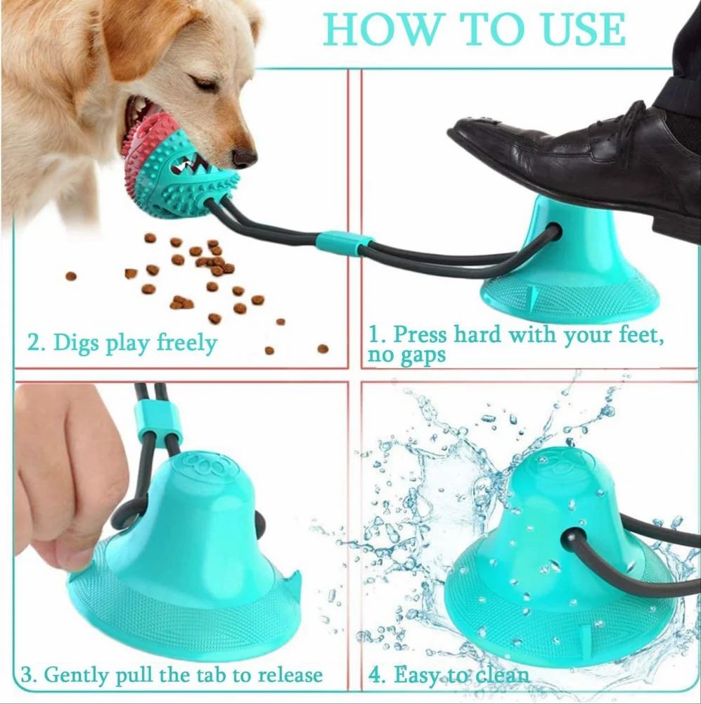 Interactive Dog Toy